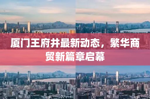 厦门王府井最新动态，繁华商贸新篇章启幕