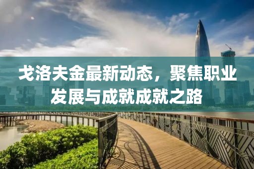 戈洛夫金最新动态，聚焦职业发展与成就成就之路