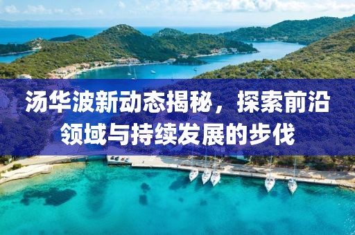汤华波新动态揭秘，探索前沿领域与持续发展的步伐