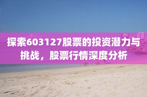 探索603127股票的投资潜力与挑战，股票行情深度分析