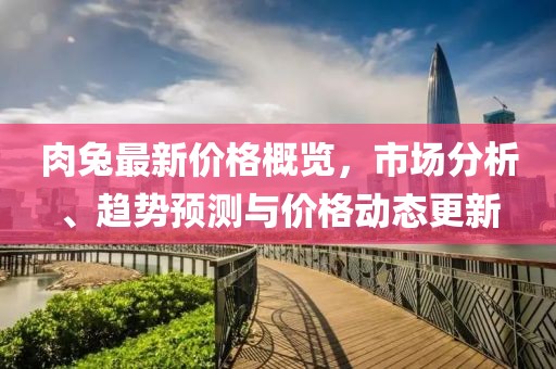 肉兔最新价格概览，市场分析、趋势预测与价格动态更新