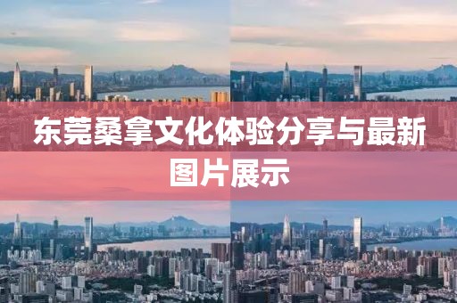 东莞桑拿文化体验分享与最新图片展示