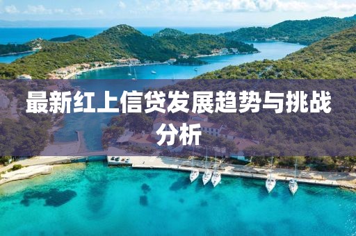最新红上信贷发展趋势与挑战分析