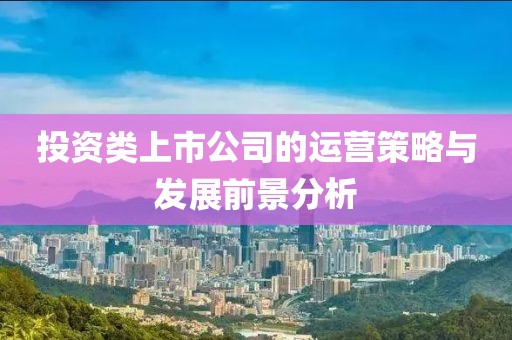 投资类上市公司的运营策略与发展前景分析