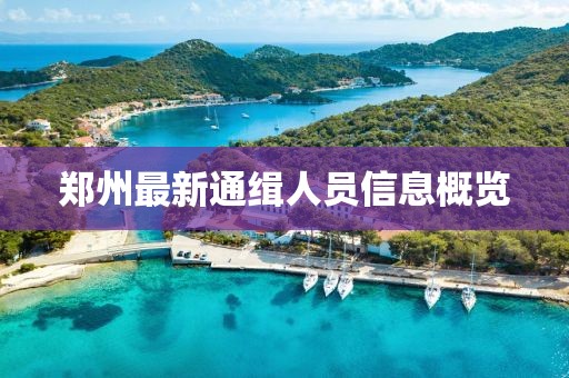 郑州最新通缉人员信息概览