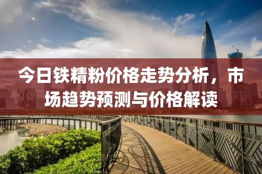 今日铁精粉价格走势分析，市场趋势预测与价格解读
