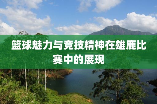 篮球魅力与竞技精神在雄鹿比赛中的展现