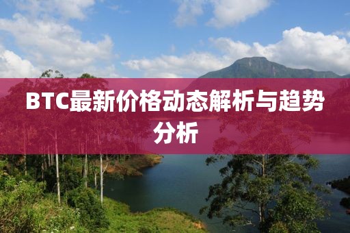 BTC最新价格动态解析与趋势分析