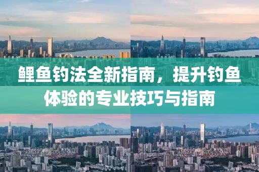 鲤鱼钓法全新指南，提升钓鱼体验的专业技巧与指南