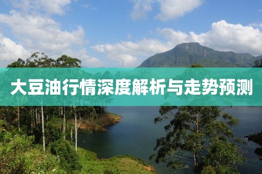 大豆油行情深度解析与走势预测