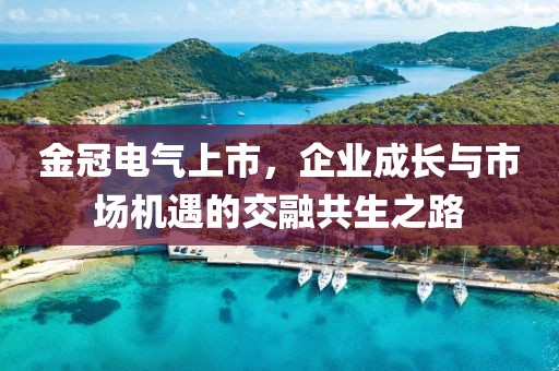 金冠电气上市，企业成长与市场机遇的交融共生之路