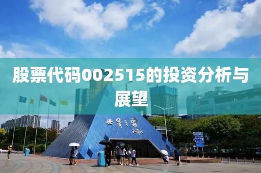 股票代码002515的投资分析与展望