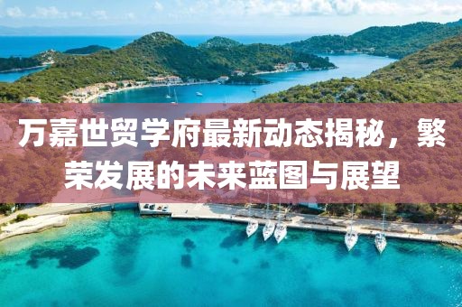 万嘉世贸学府最新动态揭秘，繁荣发展的未来蓝图与展望