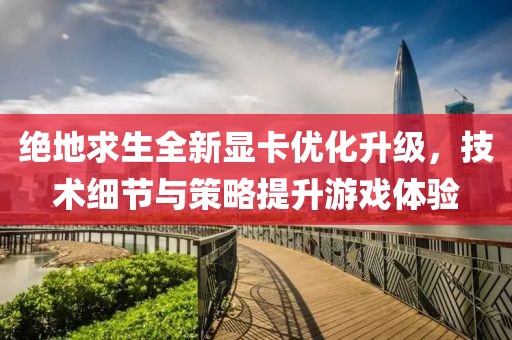 绝地求生全新显卡优化升级，技术细节与策略提升游戏体验