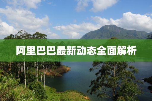 阿里巴巴最新动态全面解析