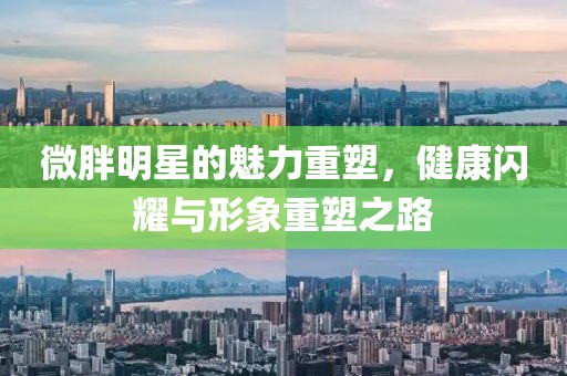 微胖明星的魅力重塑，健康闪耀与形象重塑之路