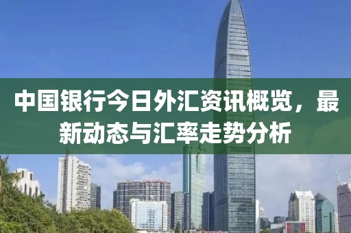 中国银行今日外汇资讯概览，最新动态与汇率走势分析