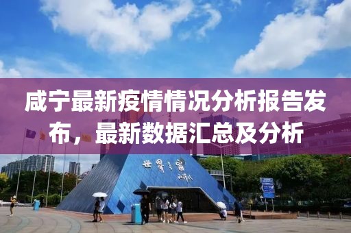 咸宁最新疫情情况分析报告发布，最新数据汇总及分析