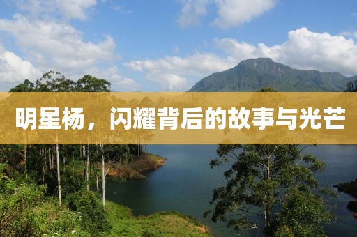 明星杨，闪耀背后的故事与光芒