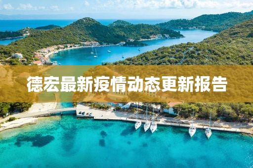 德宏最新疫情动态更新报告