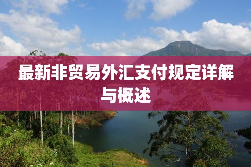 最新非贸易外汇支付规定详解与概述