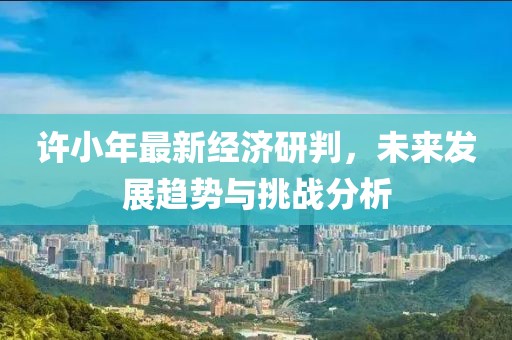 许小年最新经济研判，未来发展趋势与挑战分析