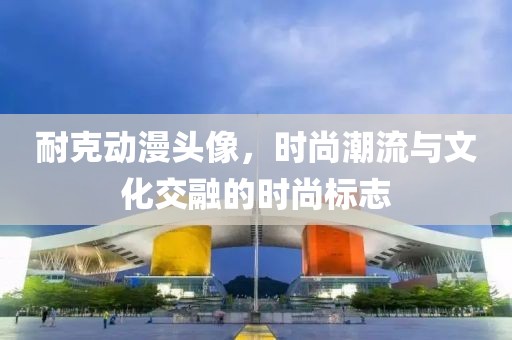 耐克动漫头像，时尚潮流与文化交融的时尚标志