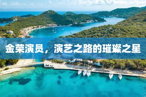 金荣演员，演艺之路的璀璨之星