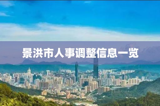 景洪市人事调整信息一览