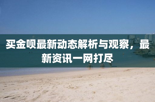 买金呗最新动态解析与观察，最新资讯一网打尽