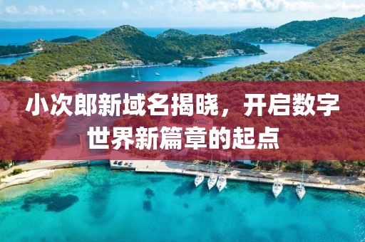 小次郎新域名揭晓，开启数字世界新篇章的起点
