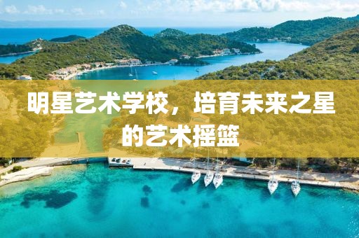 明星艺术学校，培育未来之星的艺术摇篮