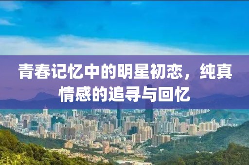 青春记忆中的明星初恋，纯真情感的追寻与回忆