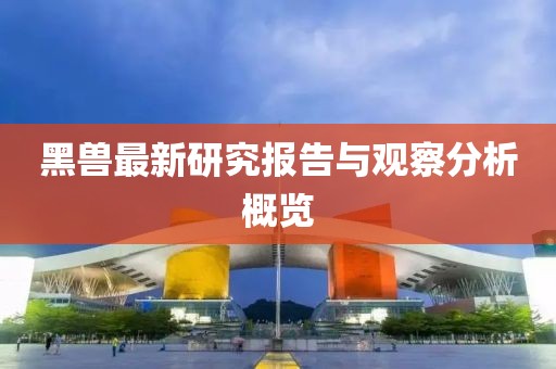 黑兽最新研究报告与观察分析概览