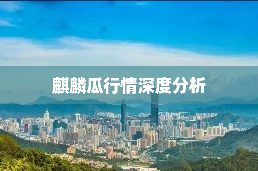 麒麟瓜行情深度分析