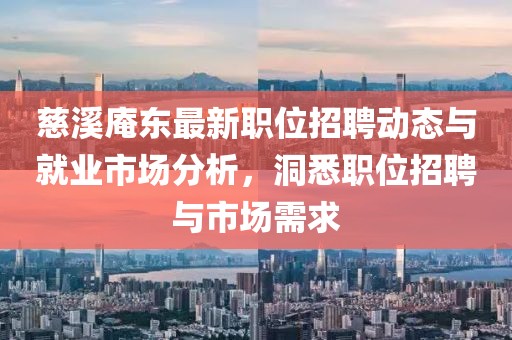 慈溪庵东最新职位招聘动态与就业市场分析，洞悉职位招聘与市场需求