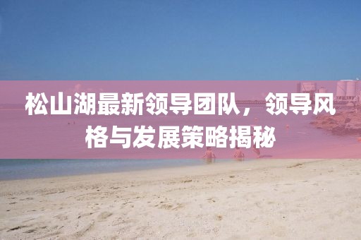 松山湖最新领导团队，领导风格与发展策略揭秘