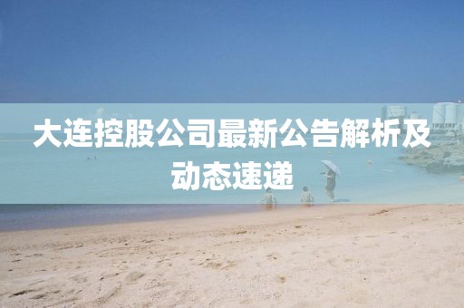 大连控股公司最新公告解析及动态速递