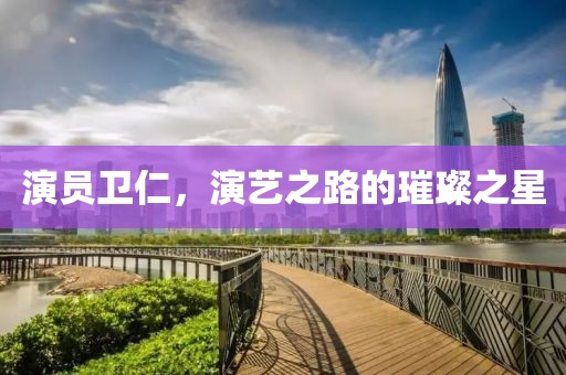 演员卫仁，演艺之路的璀璨之星