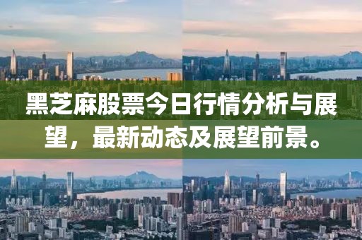 黑芝麻股票今日行情分析与展望，最新动态及展望前景。
