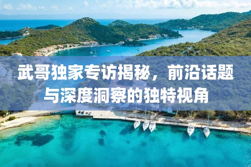 武哥独家专访揭秘，前沿话题与深度洞察的独特视角