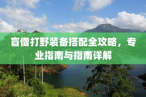 盲僧打野装备搭配全攻略，专业指南与指南详解