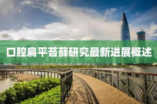 菲菲公主 第11页