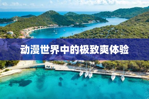 动漫世界中的极致爽体验