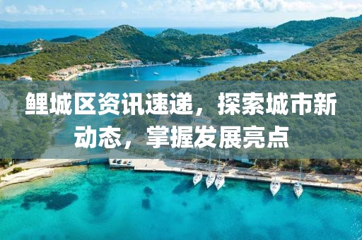 鲤城区资讯速递，探索城市新动态，掌握发展亮点