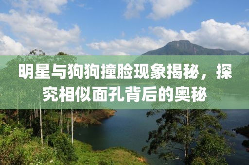 明星与狗狗撞脸现象揭秘，探究相似面孔背后的奥秘