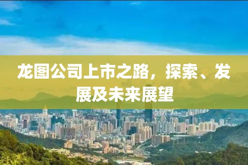 龙图公司上市之路，探索、发展及未来展望