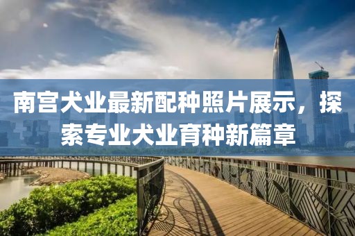 二四六香港天天开彩 第8页