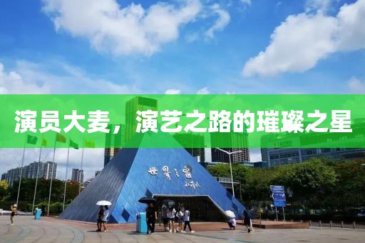 演员大麦，演艺之路的璀璨之星