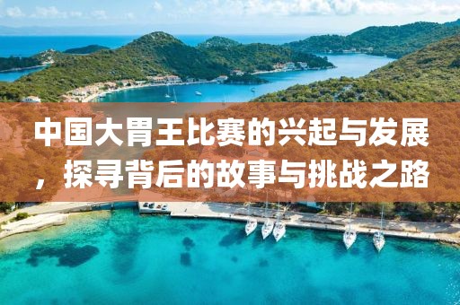 中国大胃王比赛的兴起与发展，探寻背后的故事与挑战之路